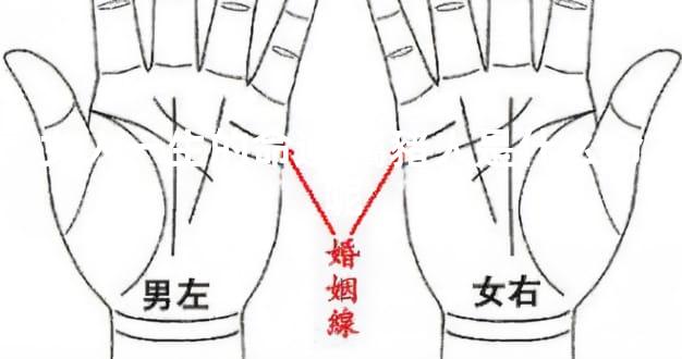 女人一生的命運 屬豬人是什么命呢